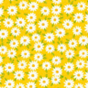 Meet your Posher, Eve